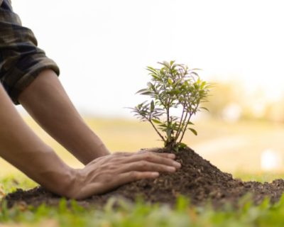 Creamos viviendas más autosuficientes para un futuro más sostenible