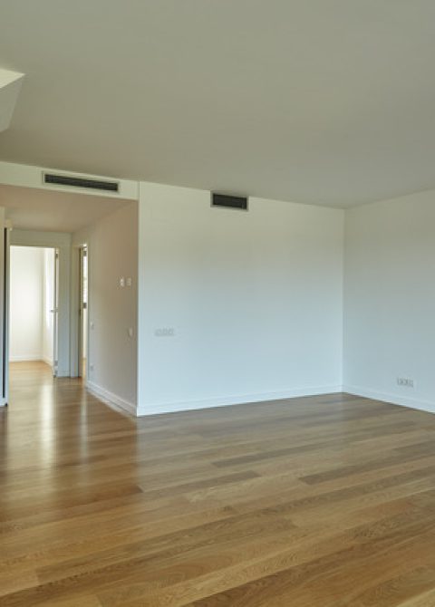 Vivienda espacios abiertos