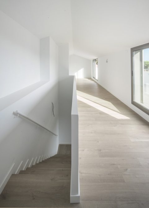 Vivienda luz natural