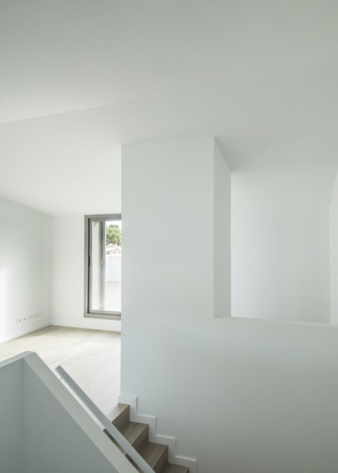 Casa pinturas ecológicas