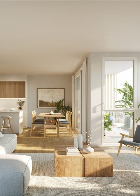 Salon vivienda obra nueva